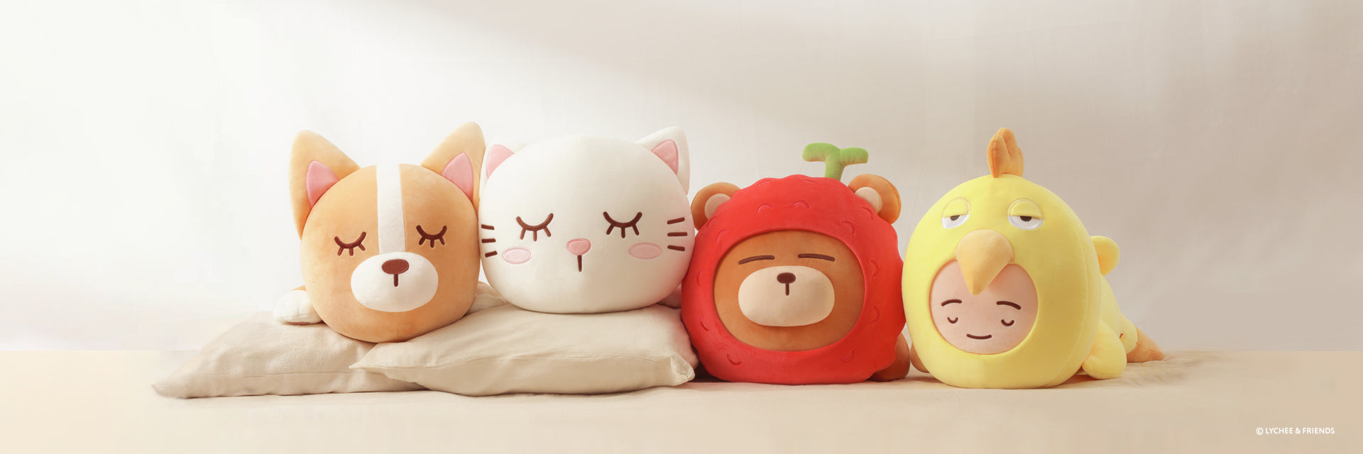 LYCHEE & FRIENDS Official Store