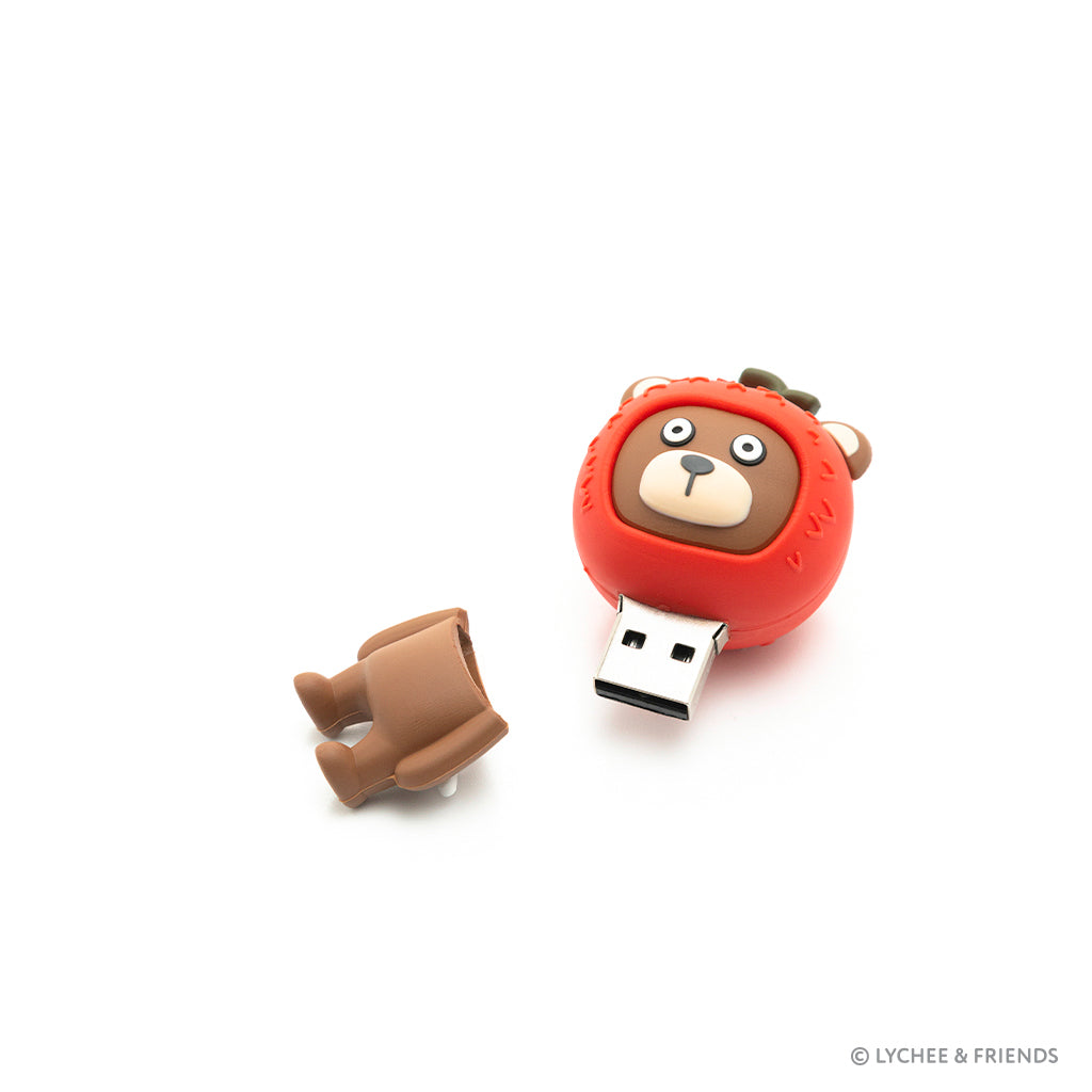 리치 USB (16GB)
